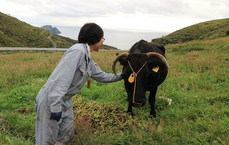 平澤麻理子さんと放牧している牛