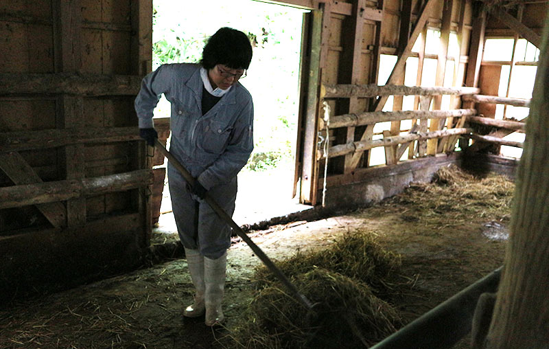 牛舎の清掃や餌の準備も大切な仕事