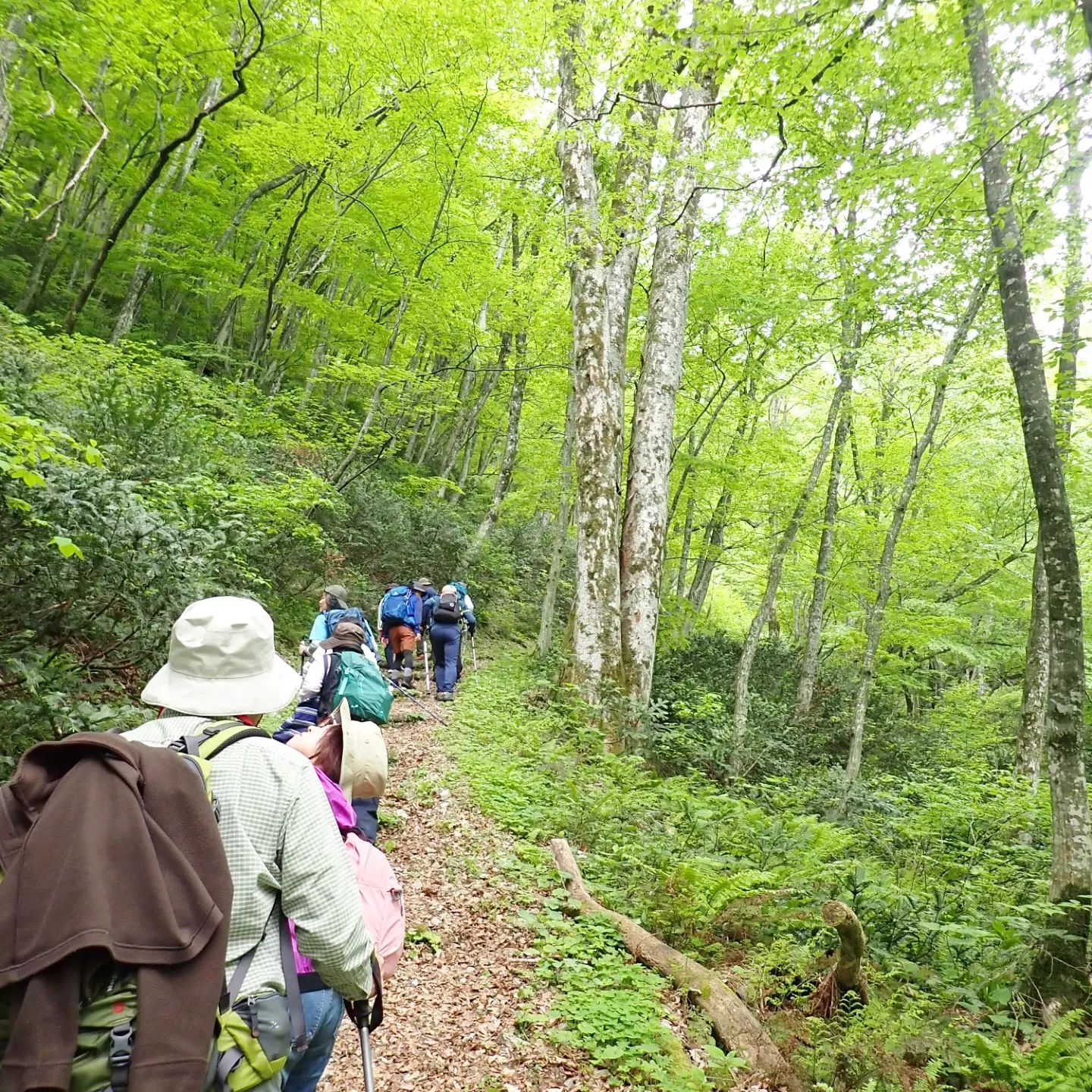 大万木山登山.jpg