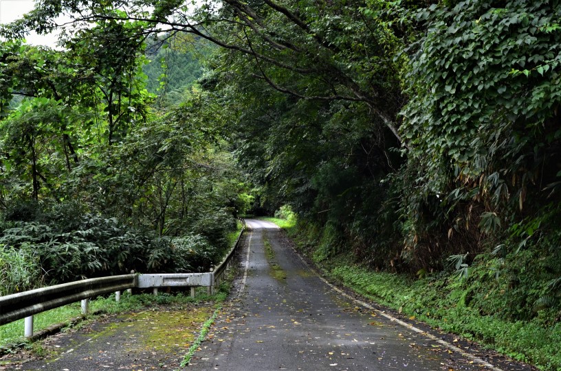 遊歩道.jpg