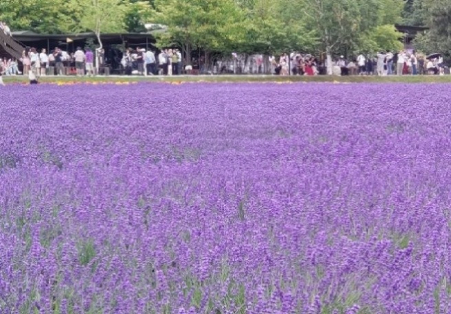 画像①.jpg