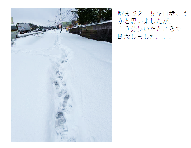 写真1-2.png