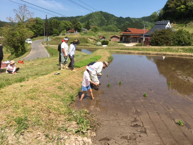 0508田植え体験.JPG