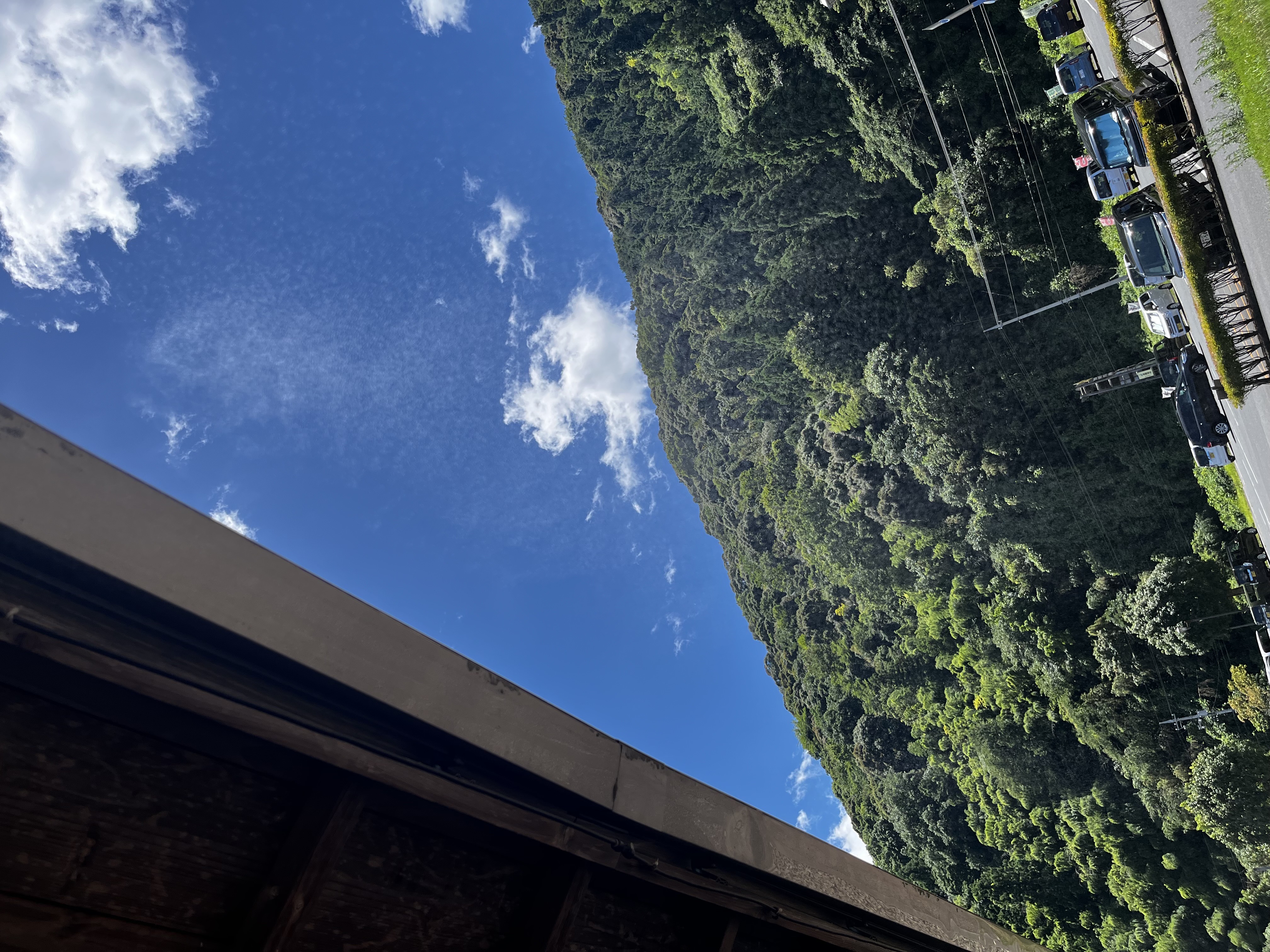 DF955092-5592-4EE7-B1D7-AB3CE49C300B.jpg